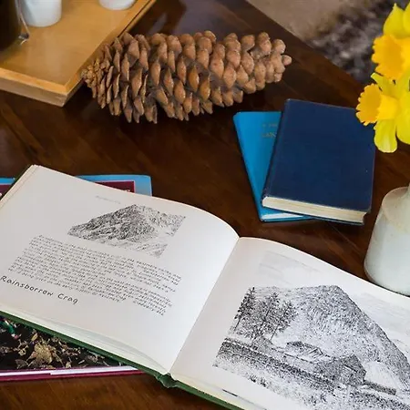 Camellia クルック