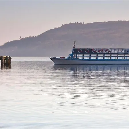 Camellia クルック