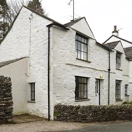 Camellia クルック