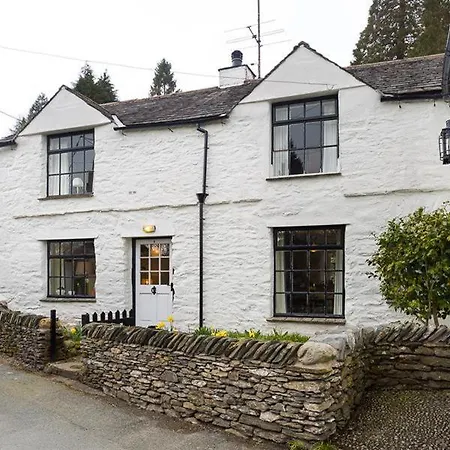 Camellia * Crook (Cumbria)