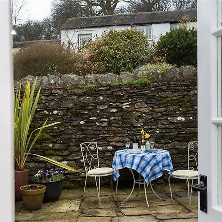 Camellia * Crook (Cumbria)